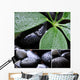 Collage Wall Decal