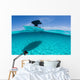 Caribbean Sea Stationary Boat Wall Decal