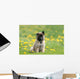 Puppy Shepherd Belgian Sitting Wall Decal