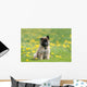 Puppy Shepherd Belgian Sitting Wall Decal