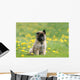 Puppy Shepherd Belgian Sitting Wall Decal