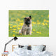 Puppy Shepherd Belgian Sitting Wall Decal