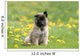 Puppy Shepherd Belgian Sitting Wall Decal