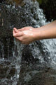 Drinking Water Wall Decal