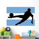 Argentine Football Association Wall Decal