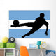 Argentine Football Association Wall Decal