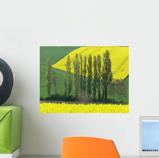 Rape Field Bourbonnais Wall Decal