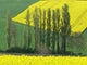 Rape Field Bourbonnais Wall Decal
