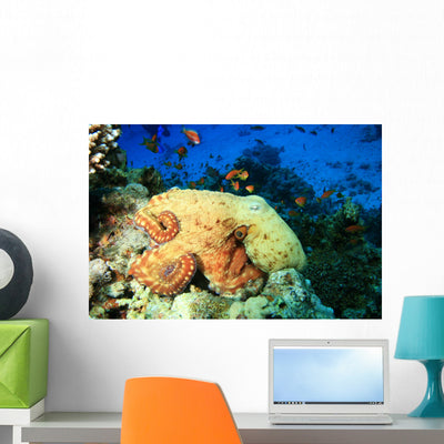 Reef Octopus Tropical Fish Wall Mural shown on a wall
