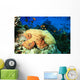 Reef Octopus (Octopus cyaneus) and Tropical Fish Wall Mural