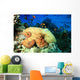 Reef Octopus (Octopus cyaneus) and Tropical Fish Wall Mural
