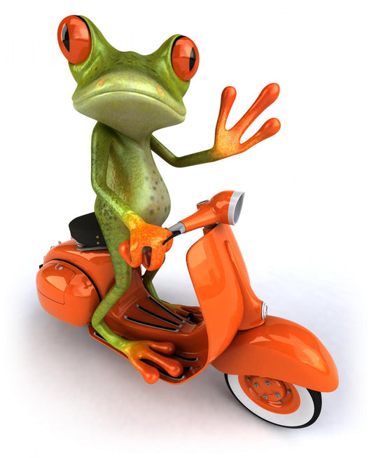 Frog Ridding Orange Vespa Wall Decal