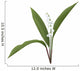 Lily Valley Wall Decal