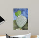 Rackets Prickly Pear Cactus Wall Decal