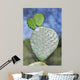 Rackets Prickly Pear Cactus Wall Decal