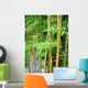 Bamboo Garden Wall Decal