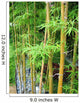 Bamboo Garden Wall Decal