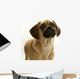 Puppy Puggle Looking Sad Wall Decal
