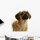 Puppy Puggle Looking Sad Wall Decal