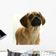 Puppy Puggle Looking Sad Wall Decal