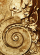 Ancient Wall Decal