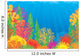 Coral Reef Wall Decal Design 2