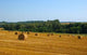 Belarussian Fields Wall Decal
