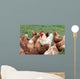 Large Rooster and Hens Wall Decal