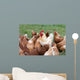 Large Rooster and Hens Wall Decal