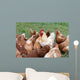Large Rooster and Hens Wall Decal