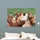 Large Rooster and Hens Wall Decal