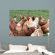 Large Rooster and Hens Wall Decal