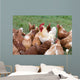 Large Rooster and Hens Wall Decal