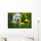 Golden Retriever Puppy Wall Decal Design 1