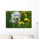 Golden Retriever Puppy Wall Decal Design 1