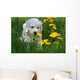 Golden Retriever Puppy Wall Decal Design 1