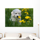 Golden Retriever Puppy Wall Decal Design 1