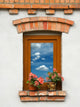 Window Wall Decal Design 3