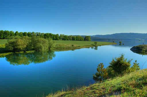 Lake Blindness Wall Decal