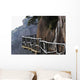 Sanqing Mountain China Wall Decal