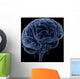 Brain Transparent Veins Arteries Wall Decal