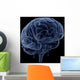 Brain Transparent Veins Arteries Wall Decal