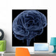 Brain Transparent Veins Arteries Wall Decal