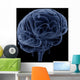 Brain Transparent Veins Arteries Wall Decal