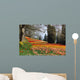 Autumn Coloration Wall Mural