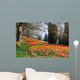 Autumn Coloration Wall Mural