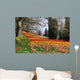 Autumn Coloration Wall Mural