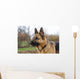 Deutscher Schferhund Wall Decal