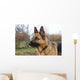 Deutscher Schferhund Wall Decal