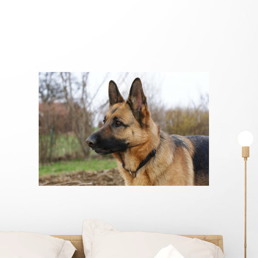 Deutscher Schferhund Wall Decal